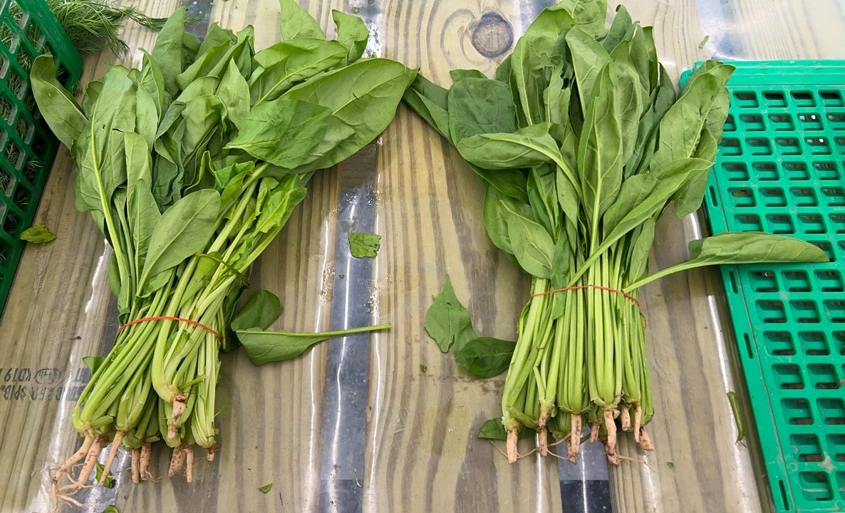 �Ե�B����J�]�u��ż���G�v...�O�Q�Ʀ��~��