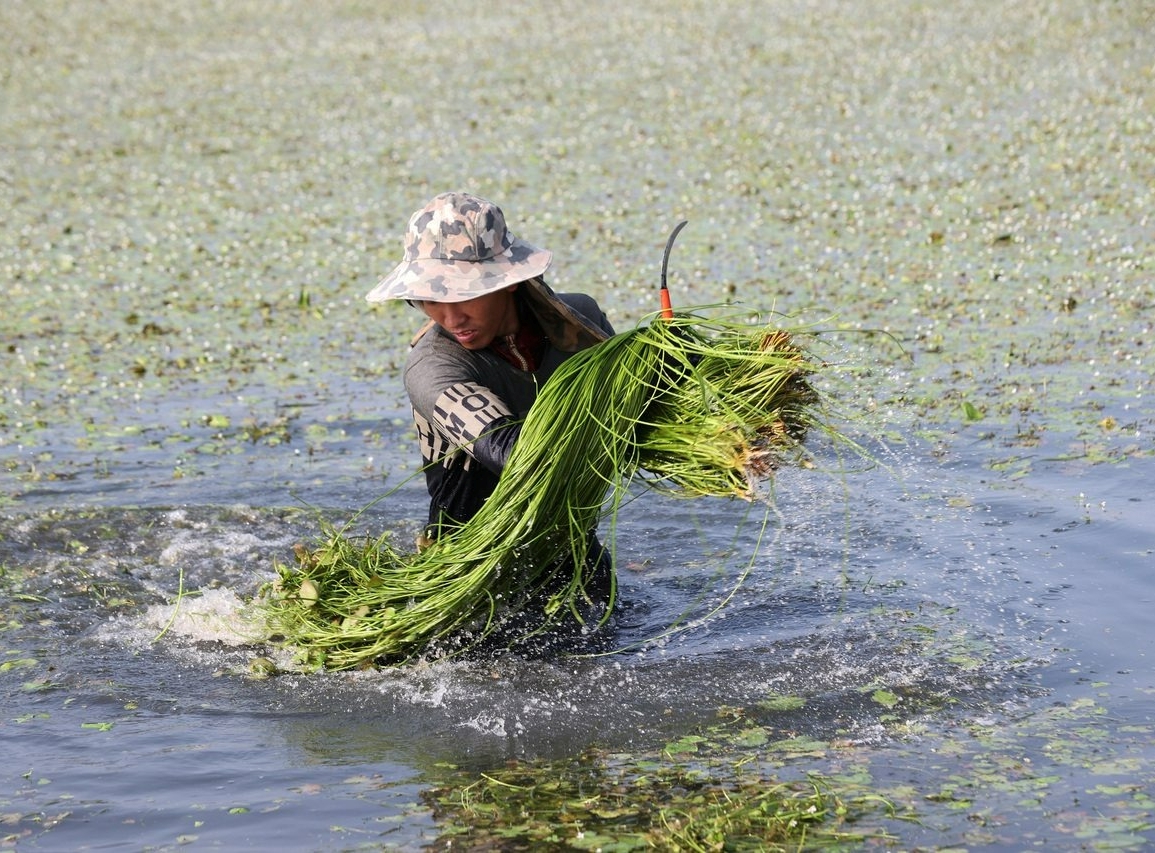 ���u�͵��O�@���F���ܡH��ƥ�y�������ٰʨ�׭�d�H