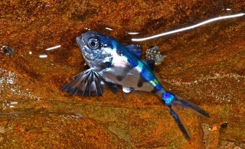 �x�W���������I�򶩼鶡�a�����I�P�Ų~���U�����@��