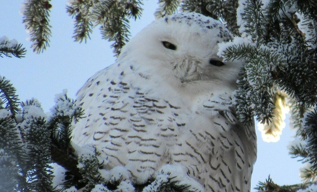 10�~�����u�K���v�ܸ� ���ť���즰ϰ�ʷ���