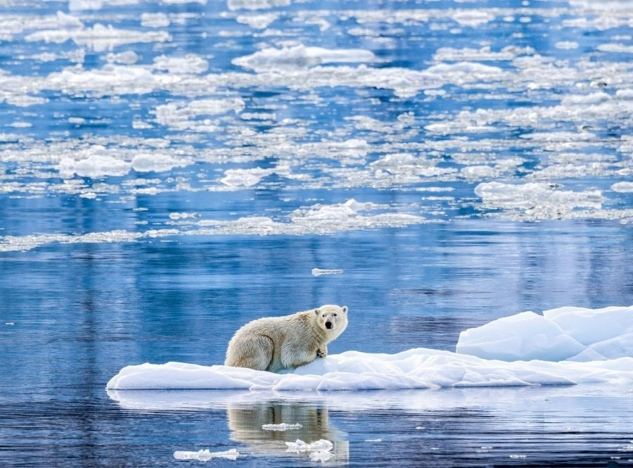 �_�������b��gDNA�H���F���U�h ��]��V�C�סB�ܼ�