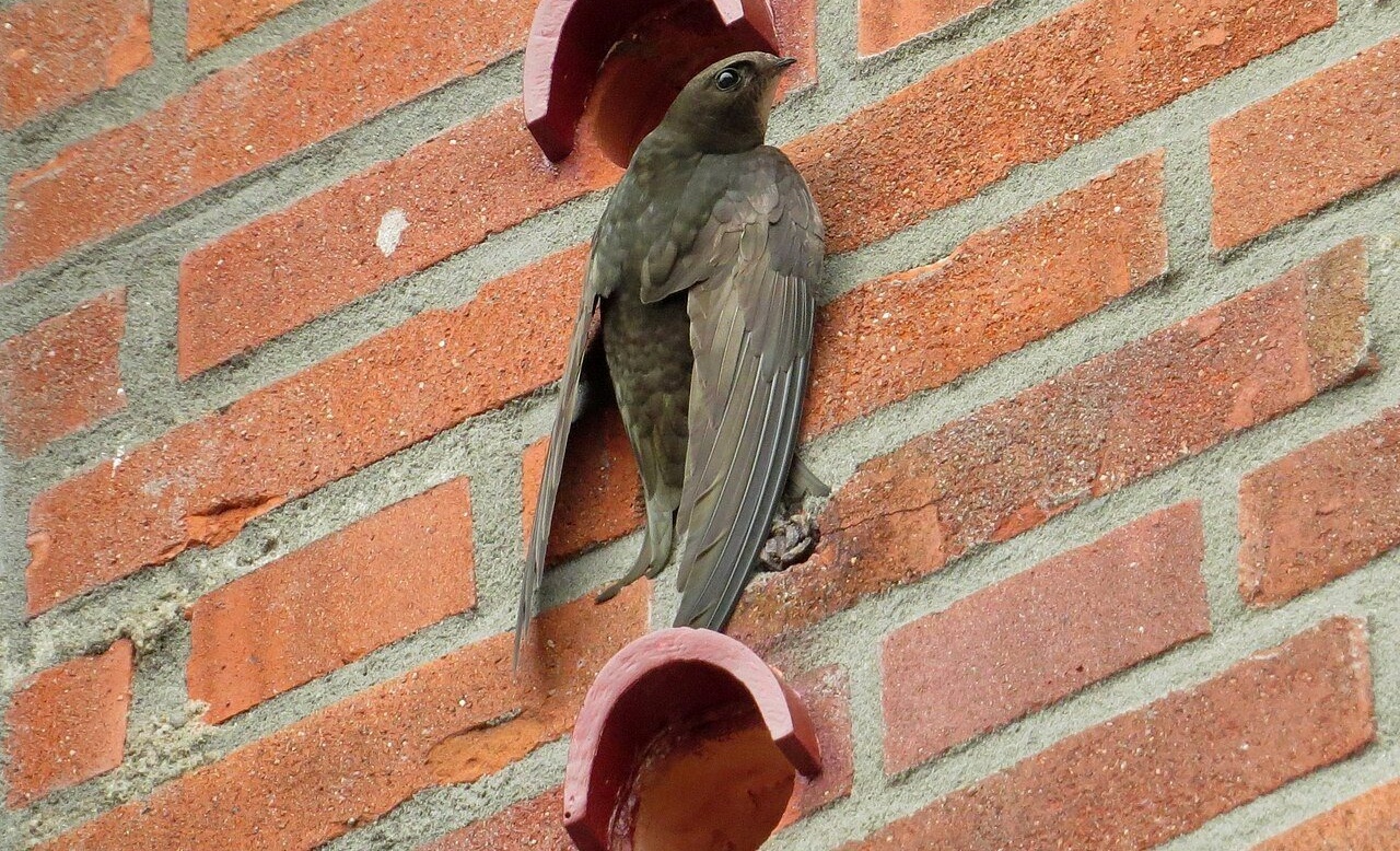 �@�ϳ������F�~...Ĭ�����j��s�ؿv�]�m�u�B�P�j�v