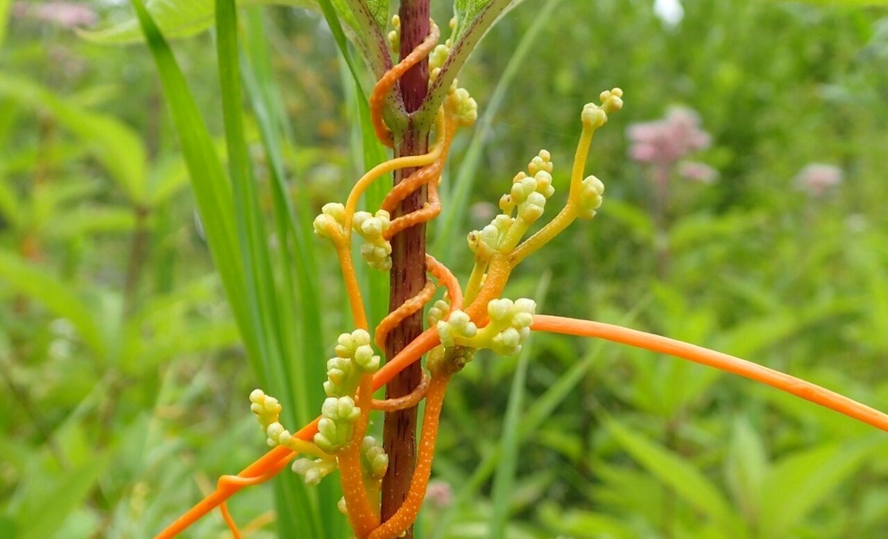 �Ӫ��ɪ��H�ͤW�y�G�鵷�l�a�u��j�L�v�b�j�۵M��ǥd��