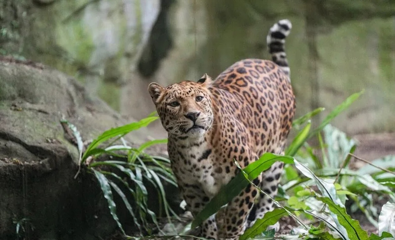 �A���᭦...�x�_�ʪ���̫�@����\18����@