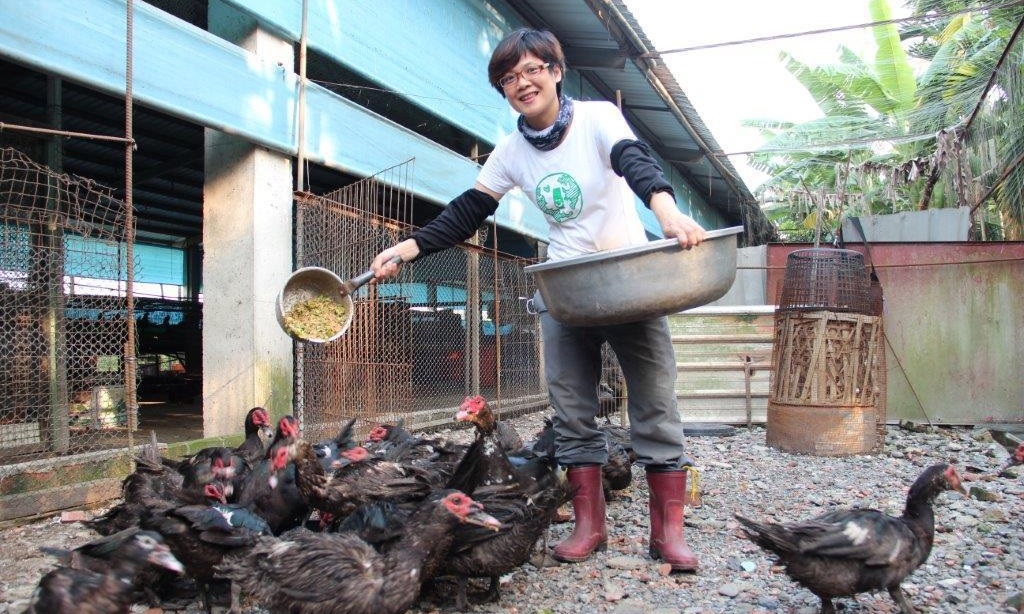 從養雞開始改變世界－作家變雞農端「友雞」膳循環