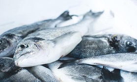 我們正在消耗海洋－35%漁獲在上餐桌前遭丟棄