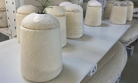 綠色葬禮！荷蘭打造「蕈菇棺材」可自然分解
