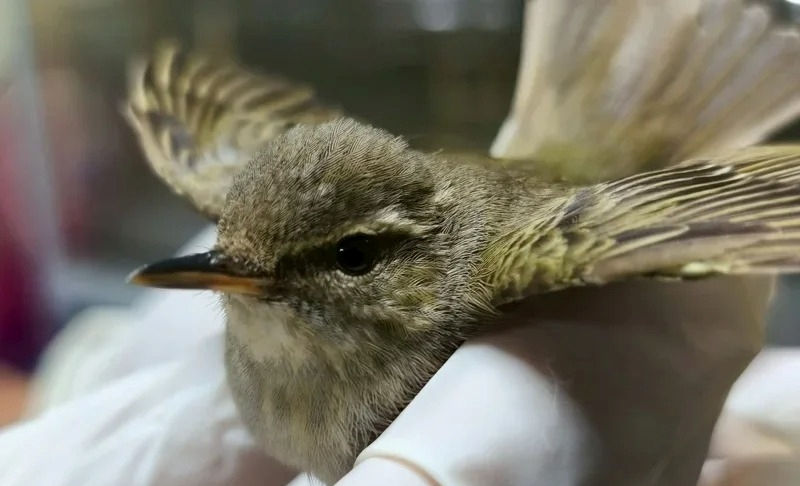 uLҳu_havLfYIϫ᭫ѻ