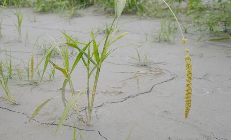 _400AгQJdTS ngܷ׳hCuPgv