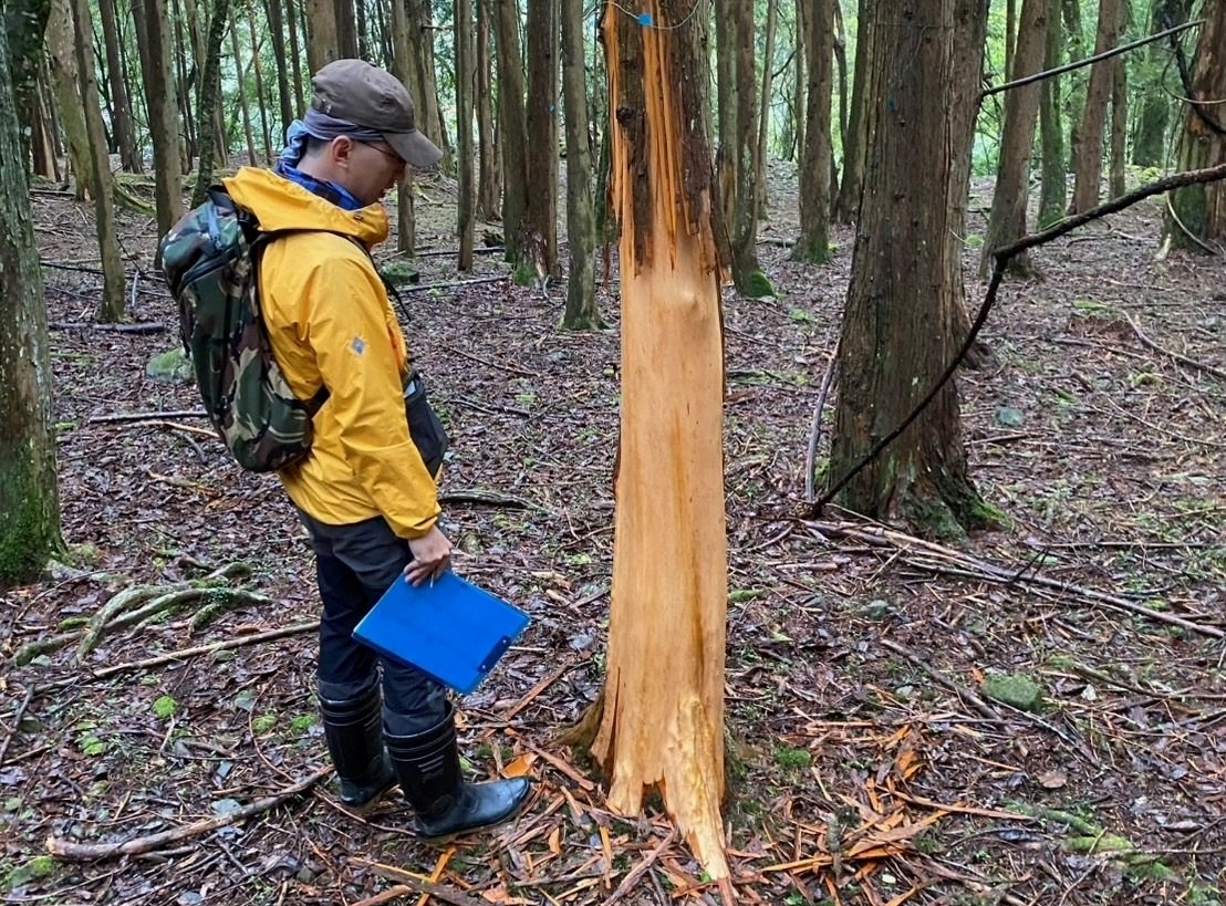 ͺؤ]|aHus~vYXxWsͺAM