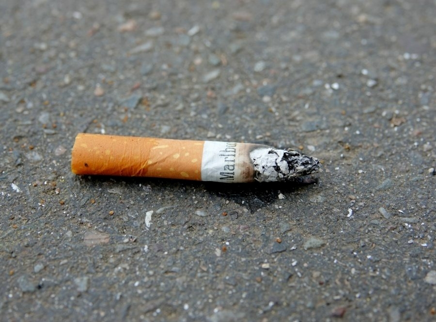 ѨMҸìVsۡIڹζ⭻oLwC