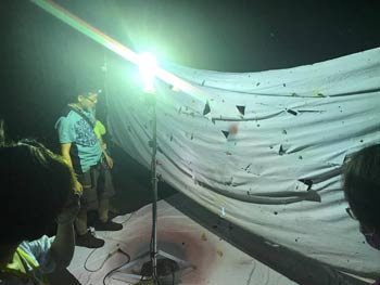 夜間昆蟲電影院