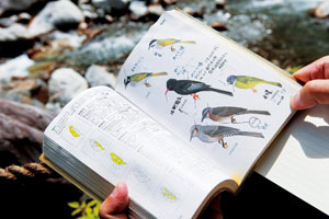 �|�u���Ȧ�4