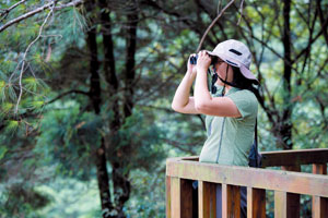 �|�u���Ȧ�5