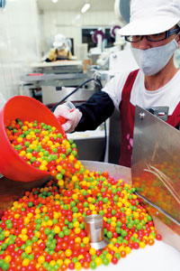 �O���n���D1