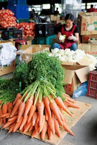 ��o�����s����12