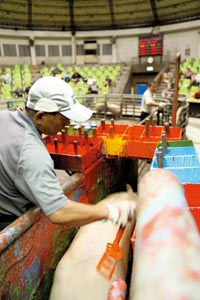 ��o�����s����3