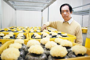臺中好味道5