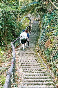 Ȧ樦4