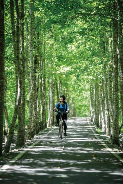 大農大富平地森林有完善的自行車道，騎行在樹蔭裡， 涼爽舒適，怡然自得。（莊坤儒攝）