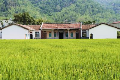 位於美濃的客家三合院建築，反映客家族群 獨具的生活傳統和文化軌跡。（莊坤儒攝影）