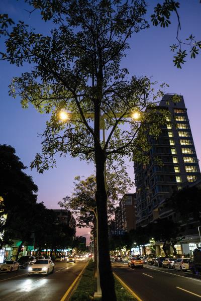 台北市健康路是「智慧IoT路燈」實驗道路。 