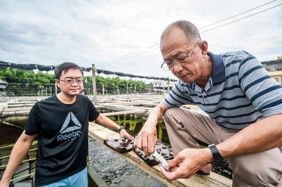 有40年九孔養殖經驗的達人謝忠明（右），對於在國外養魚多年，洄游宜蘭的兒子謝政佐， 心中有說不出的歡喜。