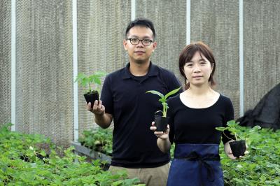 楊佳慈與學弟張恭豪創立了帝霖公司,將抗病種苗的科研成果商品化、產業化。 楊佳慈與學弟張恭豪創立了帝霖公司,將抗病種苗的科研成果商品化、產業化。