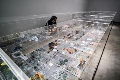 藝術家珍奈特•勞倫斯以植物、標本等素材,打造出沉浸式場景,闡釋人與自然之間的關聯。 藝術家珍奈特•勞倫斯以植物、標本等素材,打造出沉浸式場景,闡釋人與自然之間的關聯。