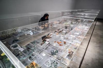 藝術家珍奈特•勞倫斯以植物、標本等素材，打造出沉浸式場景，闡釋人與自然之間的關聯。 