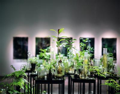 台灣本地的植物，經過藝術家珍奈特•勞倫斯重新陳列、布置，展現出詩意的魅力。（林旻萱攝)