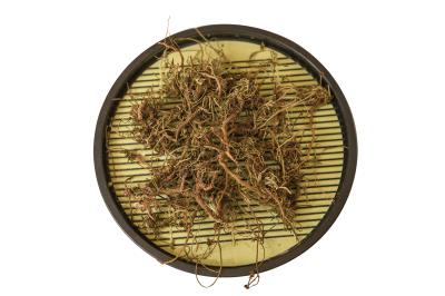 澎湖特產風茹茶是許多居民從小喝到大的飲品。 澎湖特產風茹茶是許多居民從小喝到大的飲品。