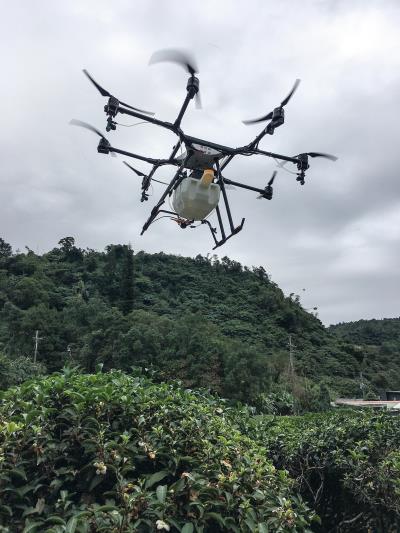 翔探科技開發的AG1-O無人機替 宜蘭正福茶園噴灑營養劑，大幅提升 茶葉品質，降低傳統農業的人力成本。（翔探科技提供） 