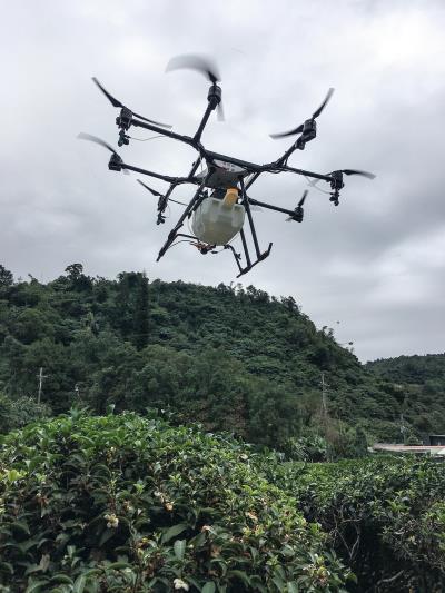 翔探科技開發的AG1-O無人機替 宜蘭正福茶園噴灑營養劑,大幅提升 茶葉品質,降低傳統農業的人力成本。(翔探科技提供) 翔探科技開發的AG1-O無人機替 宜蘭正福茶園噴灑營養劑,大幅提升 茶葉品質,降低傳統農業的人力成本。(翔探科技提供)