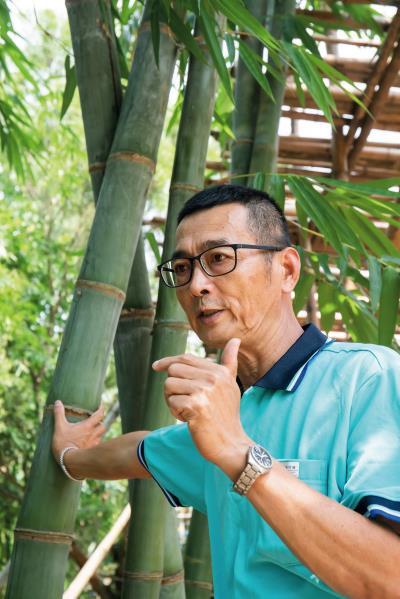 竹藝師張永旺將自家土地規劃成「百竹園」,在此種植、研究,實踐自己的竹子夢。 竹藝師張永旺將自家土地規劃成「百竹園」,在此種植、研究,實踐自己的竹子夢。