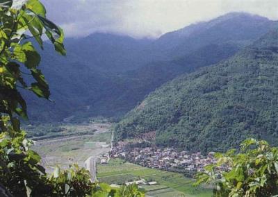 走進老天爺的菜園──原住民野菜文化