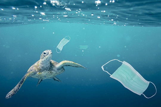 疫情垃圾衝擊海洋生態 “COVID Waste” Found in Oceans