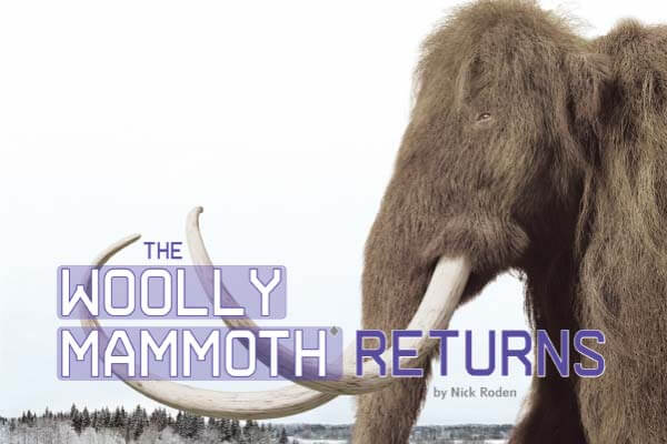 復活長毛象救地球？The Woolly Mammoth Returns