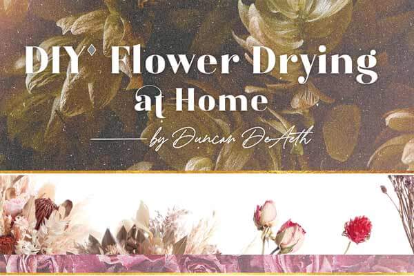 Gᵲɨ DIY Flower Drying at Home