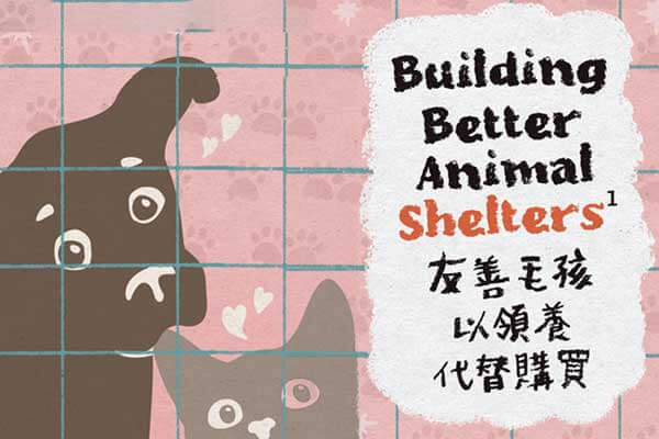 友善毛孩　以領養代替購買 Building Better Animal Shelters 