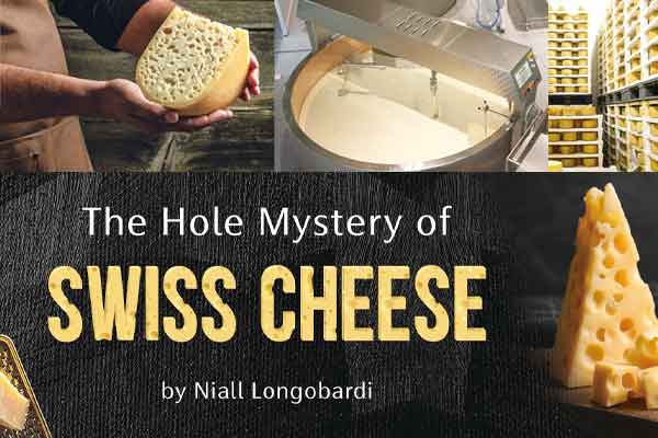 「洞」察起司上的洞洞 The Hole Mystery of Swiss Cheese