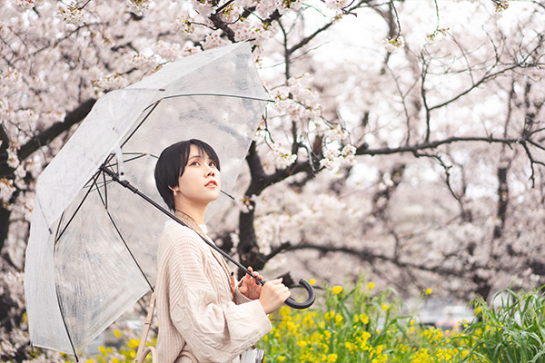 花見 日本賞花文化 The Japanese Tradition of Hanami