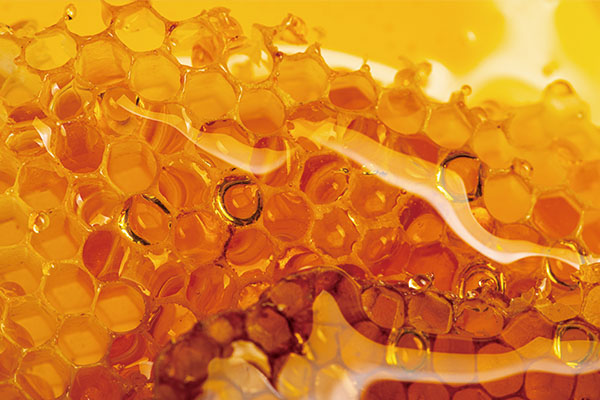 甜蜜的負擔！瘋狂蜂蜜勿輕易嘗試 Mad Honey: Nature's Sweet but Dangerous Gift                             