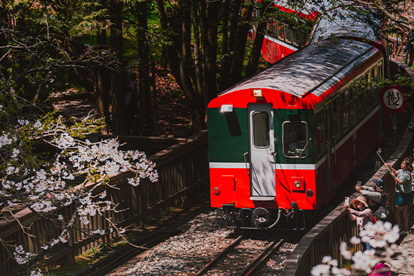 sȡGsLKDAۦ Riding Trains and Sipping Tea: Alishan's Twin Treasures